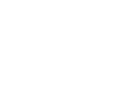 ARI Logo White